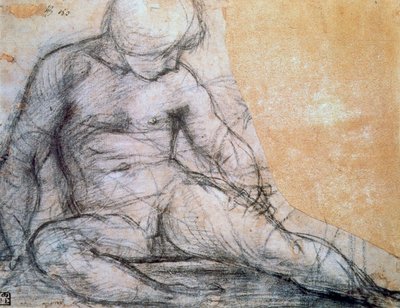 Seated Boy by Jacopo Pontormo