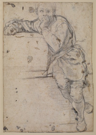 Seated youth by Jacopo Pontormo