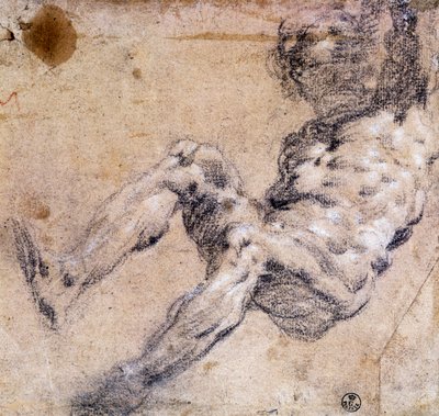 Study of male nude by Jacopo Robusti Tintoretto