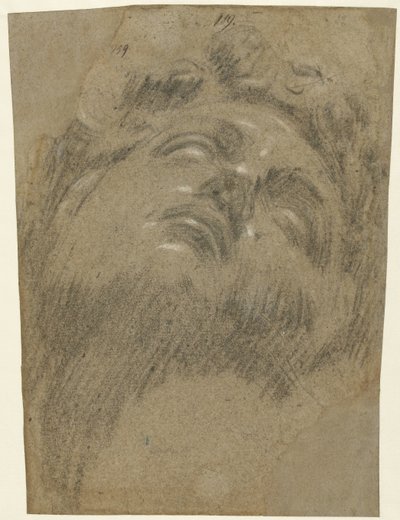 Head of Giuliano dei Medici by Jacopo Tintoretto