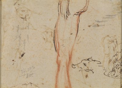 A Leg and a Pig