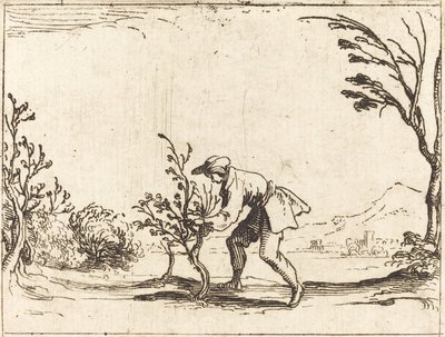Man Cutting a Balm-Tree by Jacques Callot