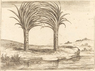 Two Palm Trees by Jacques Callot