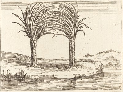 Two Palm Trees by Jacques Callot