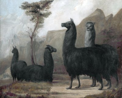 Alpacas by Jacques Laurent Agasse