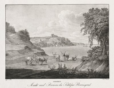Syrmien, Market and Ruins of the Sharengrad Castle by Jakob Alt