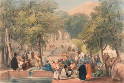 The Avenue at Baber