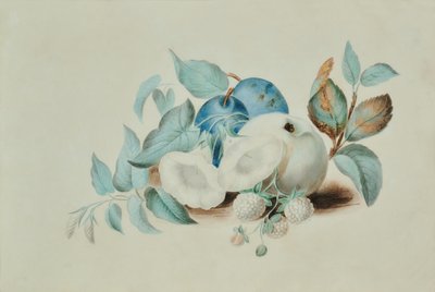 Still Life by James (attr.to) Goddard