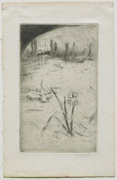 Swan and Iris by James Abbott McNeill Whistler