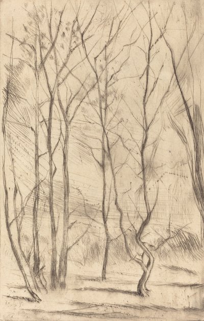 The Dam Wood by James Abbott McNeill Whistler