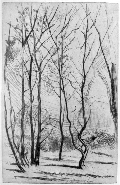 The Dam Wood by James Abbott McNeill Whistler