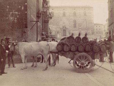 Cart with Oxen, Perugia, 1880s by James Anderson