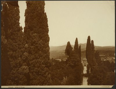 Villa d