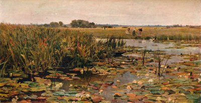 Water Lilies by James Aumonier