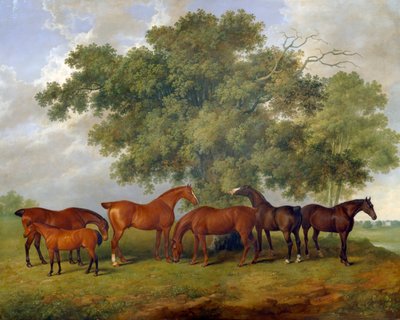 The Theobald Stud, 1825 by James Barenger