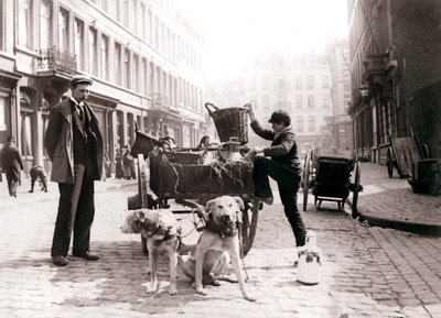 Boy with Dogcart, Antwerp by James Batkin