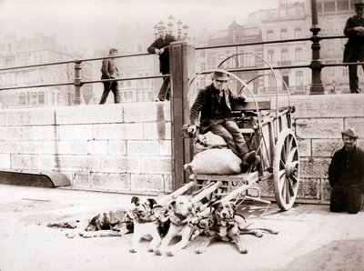 Man with dogcart, Antwerp by James Batkin