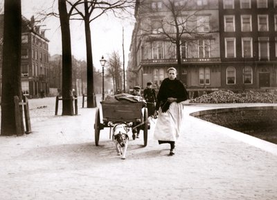 Woman with Dogcart, Rotterdam by James Batkin