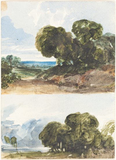 Two Sketches of Trees by James Bulwer