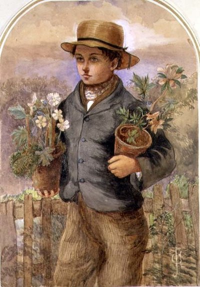 Garden Boy by James Collinson