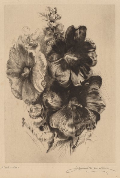 Dark Single Hollyhocks by James David Smillie