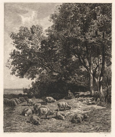 Sheep Grazing by James David Smillie