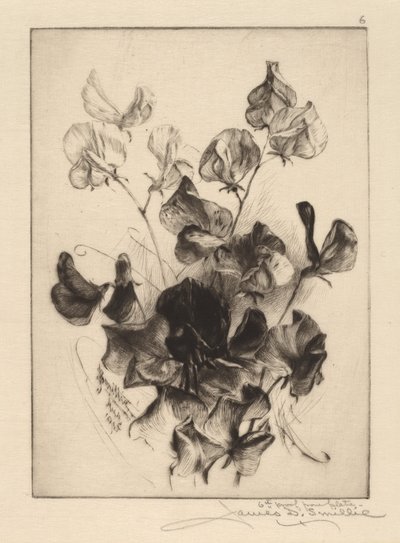 Sweet Peas by James David Smillie