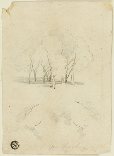 Clump of Trees by James Duffield Harding