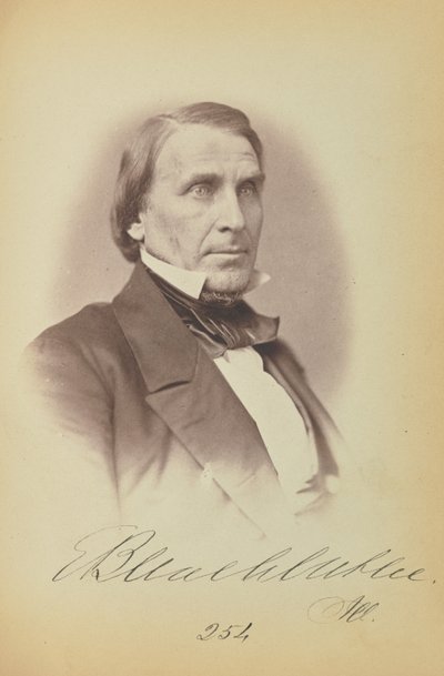 Elihu B. Washburne by James Earle McClees