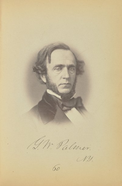 George W. Palmer by James Earle McClees