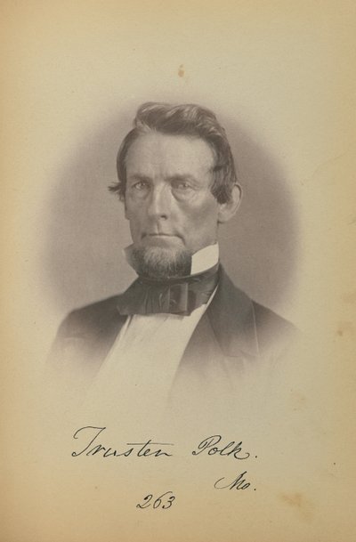 Trusten Polk by James Earle McClees