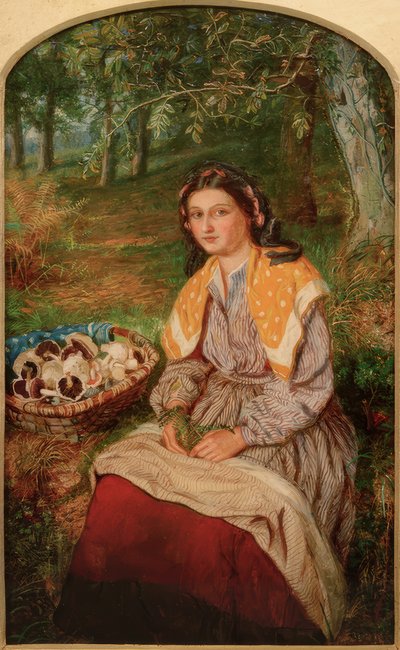 The Mushroom Picker by James Edgar