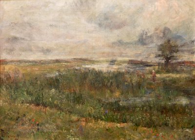 Marsh by James Ensor