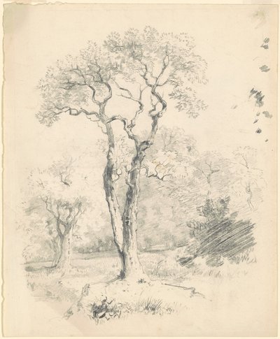 A Glade of Trees by James Goodwyn Clonney