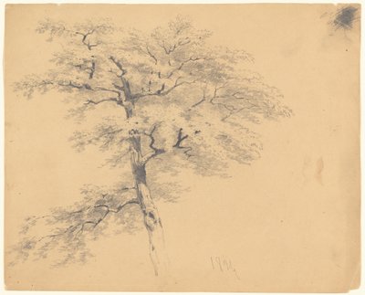 Tree by James Goodwyn Clonney