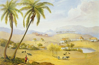 Haughton Court, Hanover, Jamaica, c.1820 by James Hakewill
