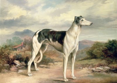 A Greyhound in a Hilly Landscape by James Henry Beard