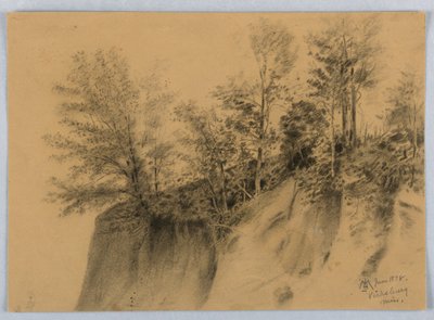 Cliff and Trees, Vicksburg, Miss. by James Henry Moser