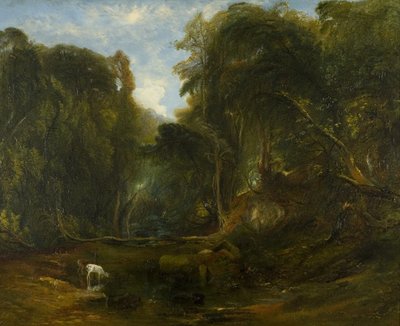 Nightingale Valley by James Johnson