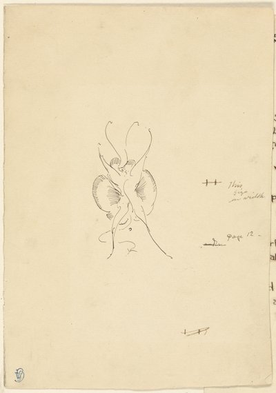 Butterfly by James McNeill Whistler