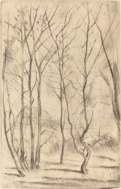 The Dam Wood by James Abbott McNeill Whistler