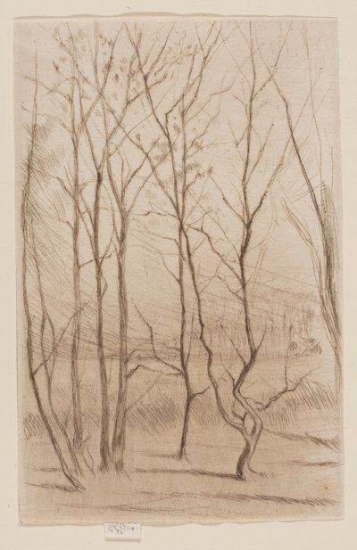 The Dam Wood by James Abbott McNeill Whistler