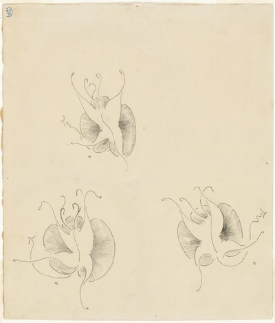 Three Butterflies by James Abbott McNeill Whistler