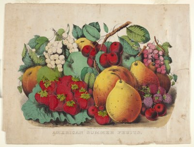 American Summer Fruit by James Merritt Ives