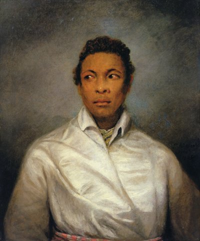 Othello, The Moor of Venice by James Northcote