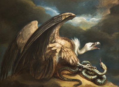 Vulture and Snake by James Northcote