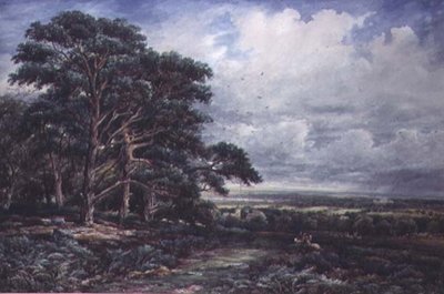 Bradgate Park near Leicester by James Orrock