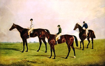 Racehorses Jockeys Up by James Pollard