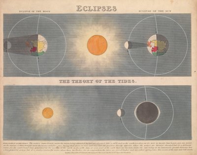 Eclipses by James Reynolds