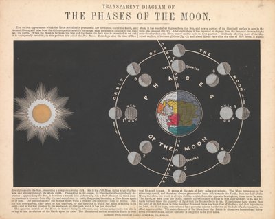 The phases of the moon by James Reynolds
